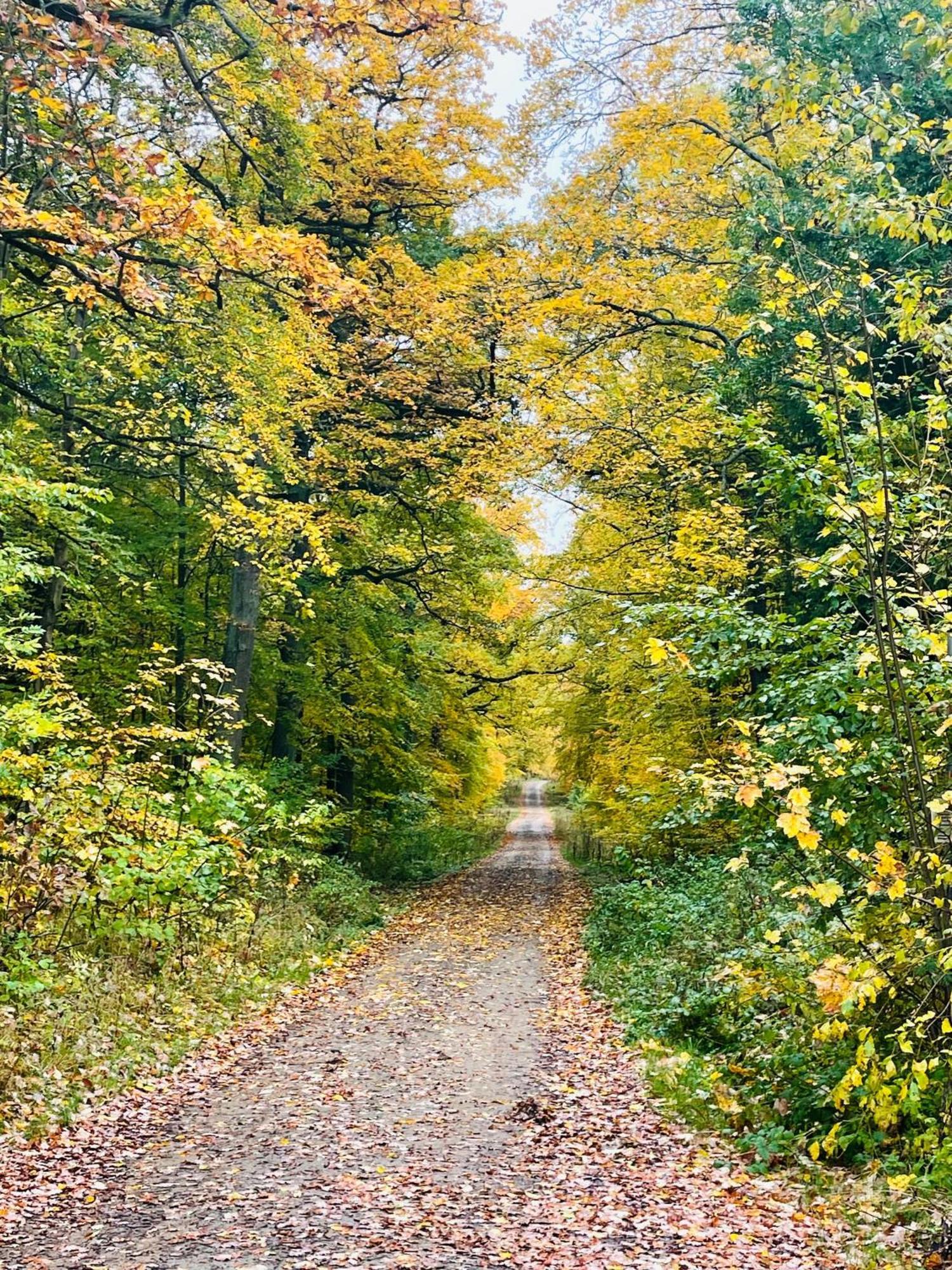 Holla Die Waldfee Konigerode Esterno foto